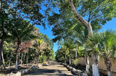 INICIO PUNTAMAR - Lotes residenciales