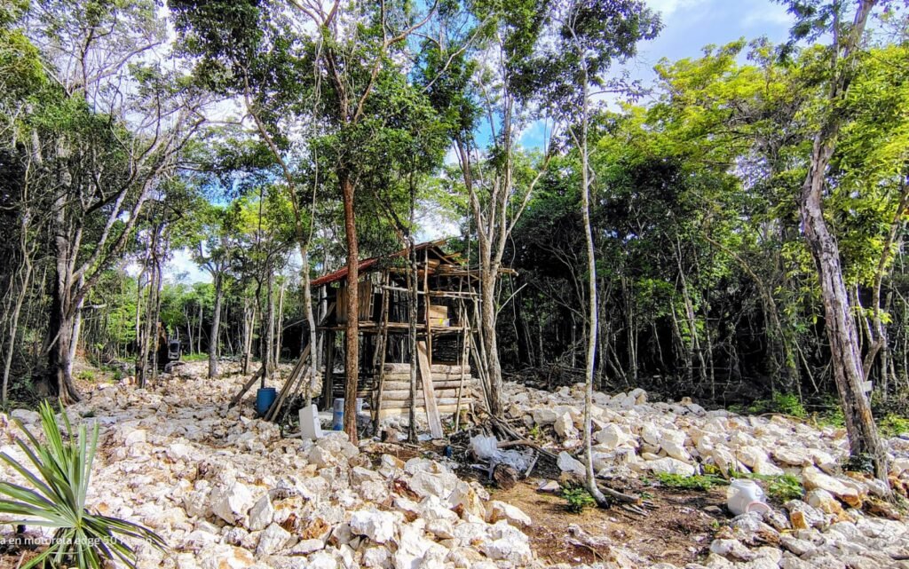 paseo kankin lote paseo kankin lote